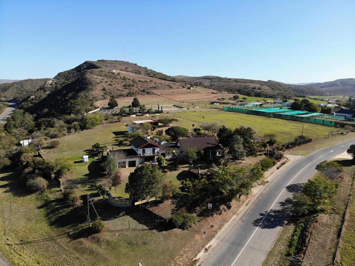 הרטנבוס Cheetah Lodge Guest House מראה חיצוני תמונה